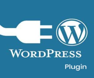 WordPress Plugin Development