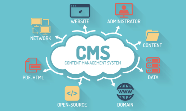 How to Choose The Best CMS For Your Business Website Development