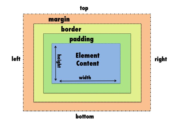 CSS Padding and Margin